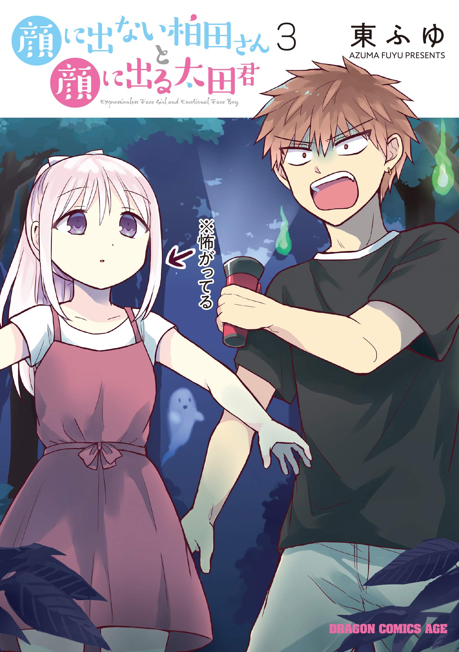 Amazon.co.jp: 顔に出ない柏田さんと顔に出る太田君 3 (ドラゴン